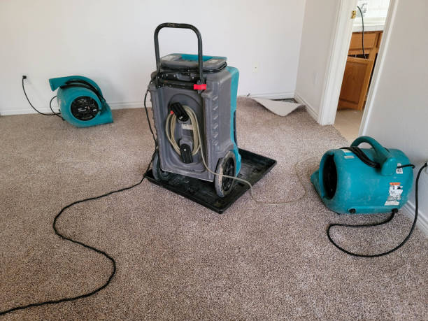 Best 24/7 water damage repair  in Exandria, AL