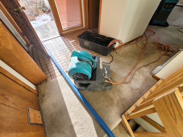 Reliable AL Water damage restoration Solutions