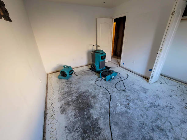 Best Water damage restoration near me  in Exandria, AL