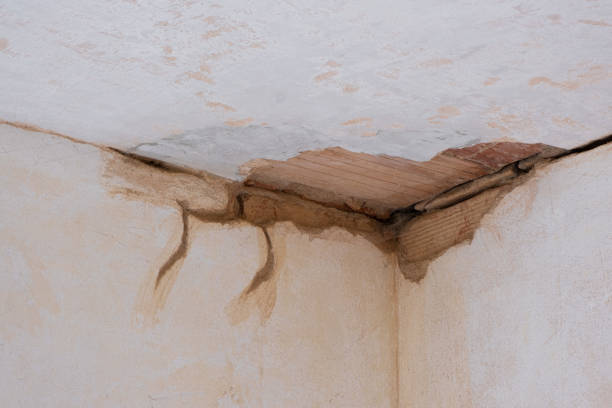 Best Water damage restoration near me  in Exandria, AL