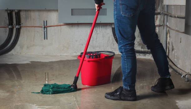 Best Flooded house restoration  in Exandria, AL