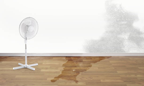 Best Fire Damage Restoration  in Exandria, AL