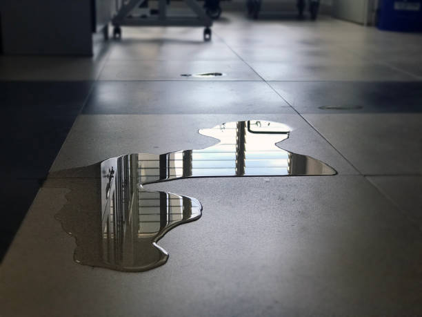 Best Water damage restoration near me  in Exandria, AL