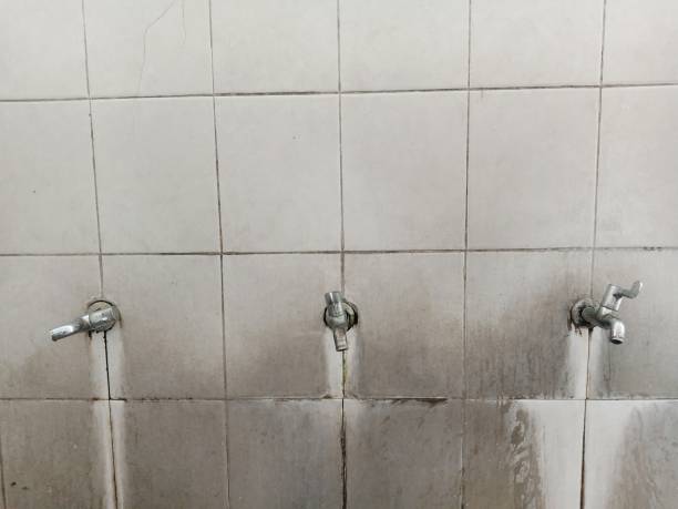 Water damage restoration experts in AL