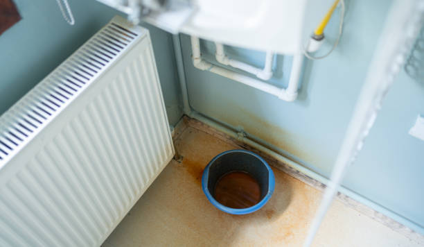 Best Water damage cleanup near me  in Exandria, AL
