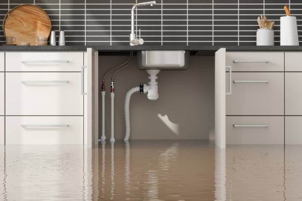 Best Emergency water damage restoration  in Exandria, AL