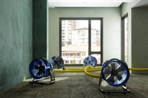 Best Flood restoration services  in Exandria, AL
