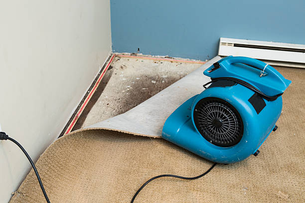 Best Commercial water damage restoration  in Exandria, AL